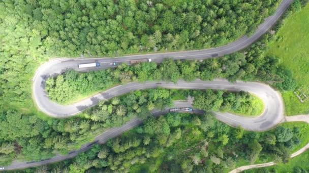 Prędkość Samochodu Zakrzywionej Leśnej Drodze Letni Widok Góry Samochodów — Wideo stockowe