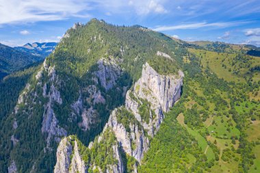 Romen Karpatlarının yeşil kırsal bölgeleri, yaz boyunca hava manzarası, doğal çevre