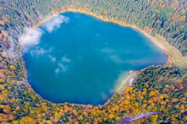 Sonbahar boyunca yeşil dağ gölü üzerinde sabah bulutları. Saint Anne Gölü, Romanya 'nın Ciomatu Mare volkanik kraterinde yer alan tek krater gölüdür..