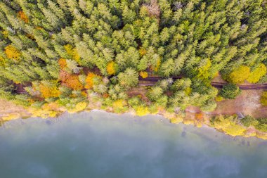 Göl kenarı ve sonbahar ormanı manzarasının üstünde. Saint Anne Gölü, Romanya 'nın Ciomatu Mare volkanik kraterinde yer alan tek krater gölüdür..