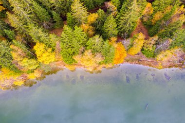 Sonbahar ormanı kıyısı ve sakin dağ gölü, yukarıda. Saint Anne Gölü, Romanya 'nın Ciomatu Mare volkanik kraterinde yer alan tek krater gölüdür..