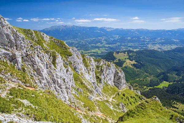 Piatra Craiului Massif Yaz Manzarası Dağlık Alanda Yeşil Manzara — Stok fotoğraf