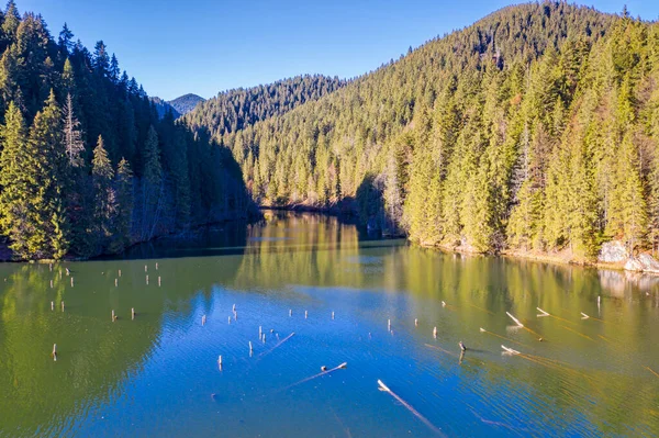 Górskie Jezioro Martwymi Drzewami Widok Powietrza Red Lake Jest Naturalnym — Zdjęcie stockowe