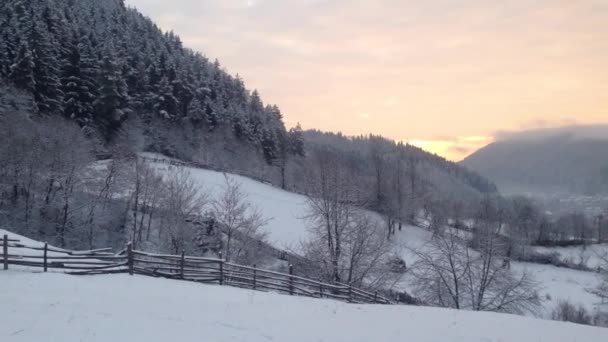 Paesaggio rurale invernale — Video Stock