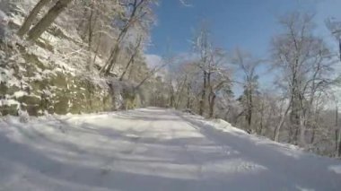 Bir güzel orman yolda hız araba