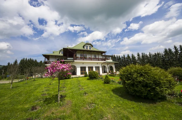 Дом с зеленым садом — стоковое фото