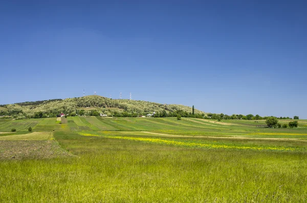 Rural landscape in spring — Stock Photo, Image