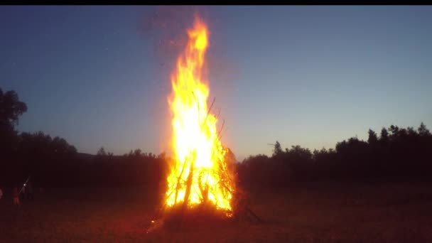 Grand feu de camp près de la forêt — Video