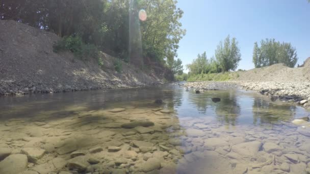 Arroyo salvaje fluyendo — Vídeos de Stock