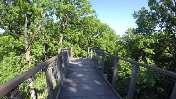 Puente colgante para admirar el parque — Vídeo de stock