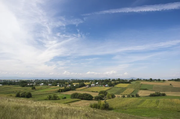 Village sur les champs d'été — Photo