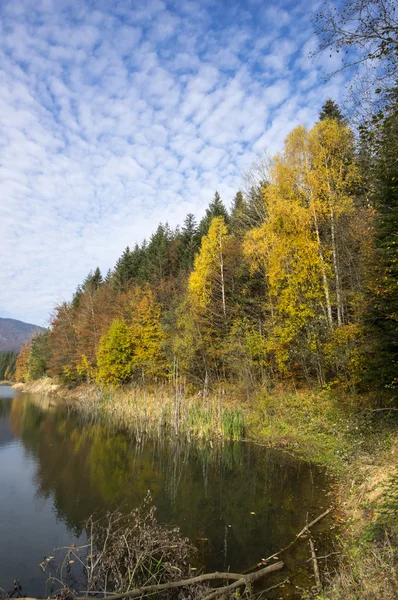 Autumn tree mountain and lake — Stock Photo, Image