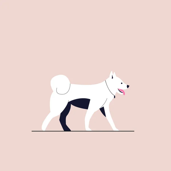 Puszysty biały pies z kołnierzykiem stojący w widoku z boku. Ilustracja wektora w płaskim stylu na odosobnionym tle. Eps 10. — Wektor stockowy