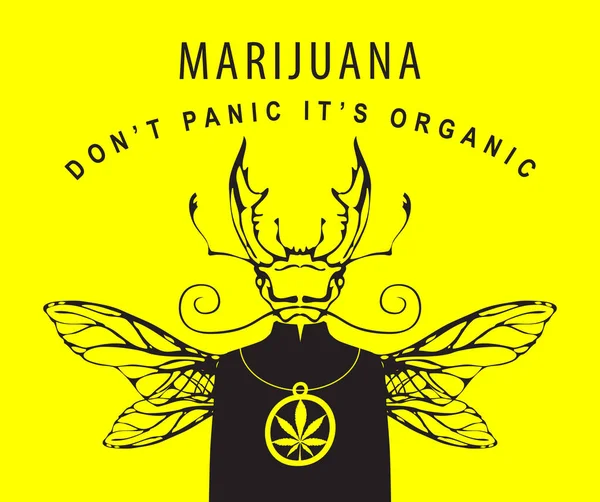 Vektorbanner Für Die Legalisierung Von Marihuana Kreative Illustration Einer Geheimnisvollen — Stockvektor