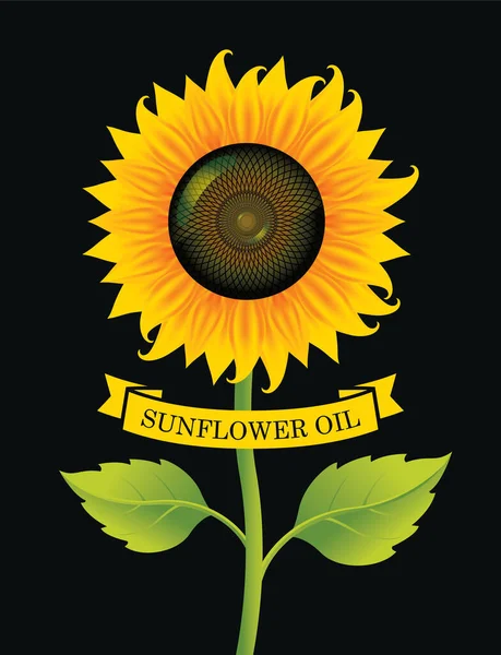 Banner Atau Label Untuk Minyak Bunga Matahari Dengan Bunga Matahari - Stok Vektor