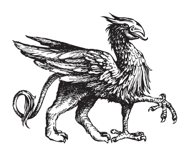 来自家族顶点的纹章狮鹫 古老的神话中的动物 有狮子的身体 鸟的翅膀和鹰的头 鹰头狮纹章符号 手绘插图 黑白矢量草图 — 图库矢量图片
