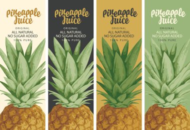 Doğal ananas suyu için dört etiket ve gerçekçi ananas ve yazı seti. Taze ananas suyu vektör illüstrasyonları eski tarz