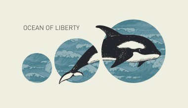 Katil balinalı el yapımı pankart ve arka planda deniz dalgaları olan daireler. Seyahat, macera ve keşif teması üzerine vektör illüstrasyonu. Eski tarz özgürlük okyanusu kelimeleriyle.