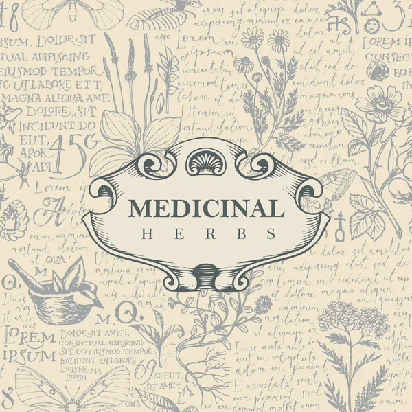 Bannière Vectorielle Étiquette Pour Les Herbes Médicinales Dans Style Rétro — Image vectorielle