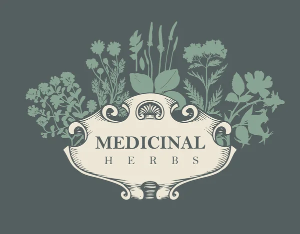 Bannière Vectorielle Étiquette Avec Les Mots Herbes Médicinales Illustration Dessinée — Image vectorielle
