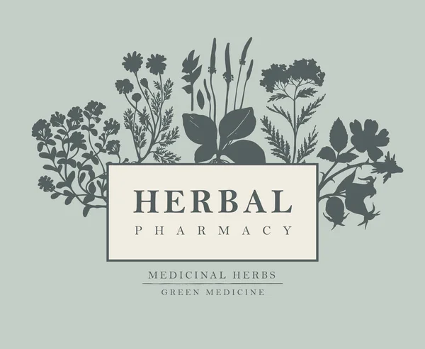 Bannière Étiquette Vectorielle Avec Inscription Pharmacie Aux Herbes Illustration Dessinée — Image vectorielle