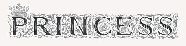 Ordet Princess Vintage Bokstäver Utsmyckade Handritade Inledande Bokstäver Princess Logotyp — Stock vektor