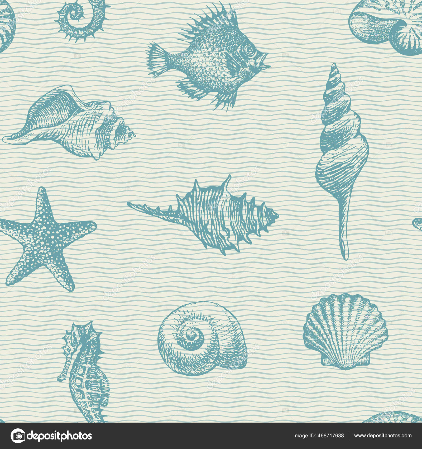 껍질의 불가사리 무늬가 바닷말 배경에 그려져 손으로 아름다운 조가비와 모양의 스톡 벡터 - ©paseven 468717638, image size:1600x1700
