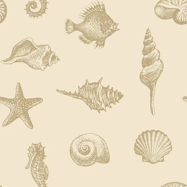 无缝图案 手绘各种形状的漂亮贝壳 向量背景为米色 复古风格 旧纸背上的贝壳 海星和海马的笔画 — 图库矢量图片
