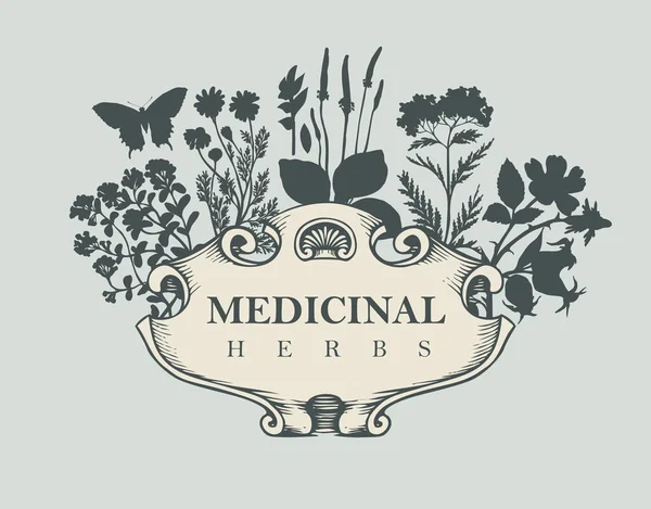 Bannière Vectorielle Étiquette Avec Les Mots Herbes Médicinales Cadre Vintage — Image vectorielle