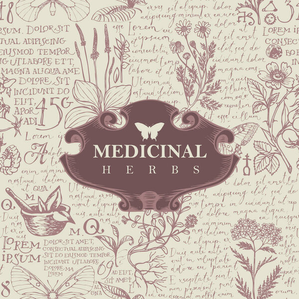 Vector banner or label with the words Medicinal herbs. Hand-drawn illustration in retro style with vintage frame on the background of medicinal herbs and handwritten text Lorem Ipsum