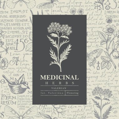Botanical vector label or banner with Valerian on a hand-drawn background with medicinal herbs and handwritten text Lorem Ipsum. Beautiful illustration in retro style for pharmacy, herbal medicine