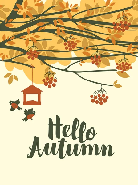 Bannière Vectorielle Avec Inscription Hello Autumn Rowan Branches Illustration Automne — Image vectorielle