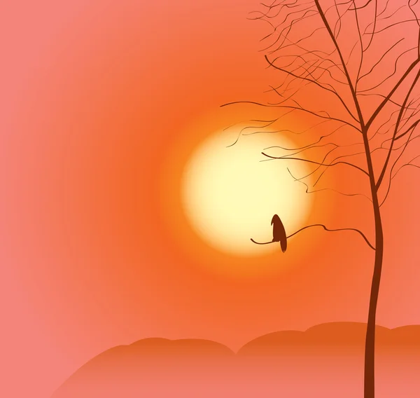 Corbeau solitaire — Image vectorielle
