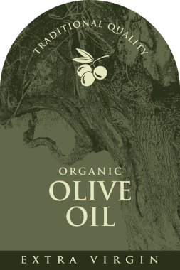 Zeytin ya da zeytin yağı etiketli, eski zeytin ağacı ve zeytinlerin eski usul vektör tasarımı. Logo, ambalaj tasarımı, çıkartma, afiş. Kullanılan yapay zeka yok