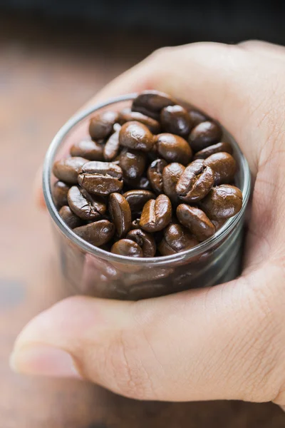 Grãos de café Arabica — Fotografia de Stock