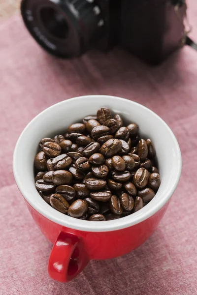 Arabica koffiebonen — Stockfoto