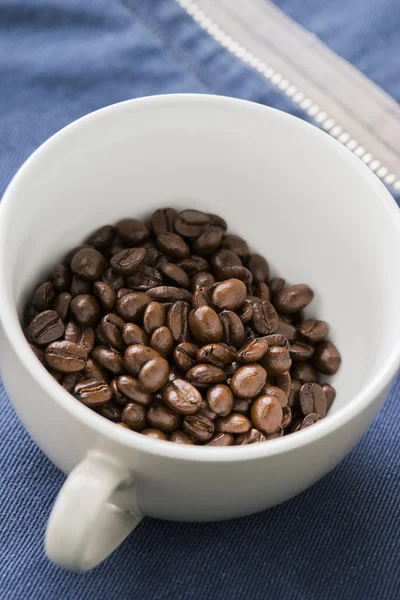 Chicchi di caffè arabica — Foto Stock