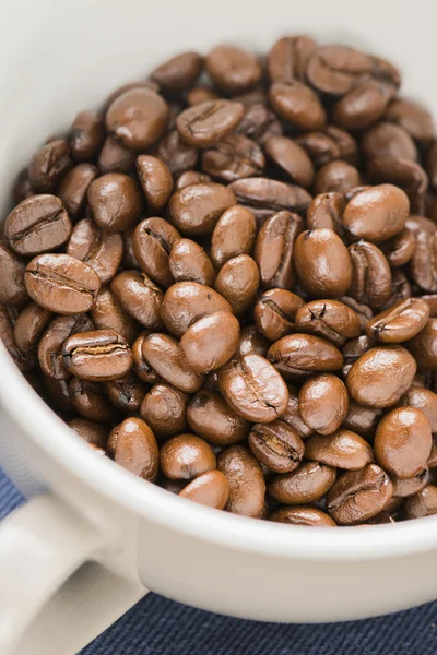 Chicchi di caffè arabica — Foto Stock