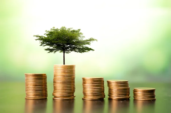 Monedas en fila con árbol pequeño — Foto de Stock