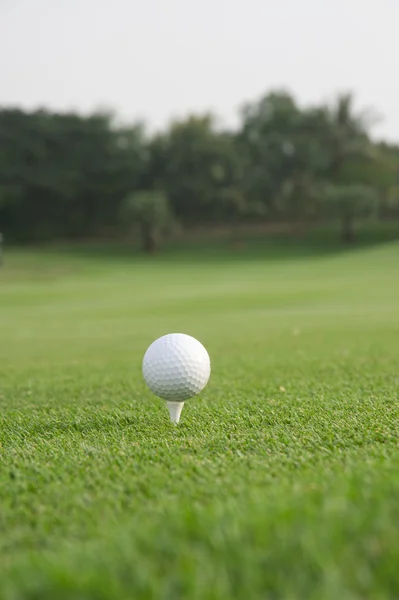 Golf ball on tee — Stock Photo, Image