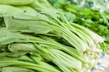 Ispanak grup Satılık