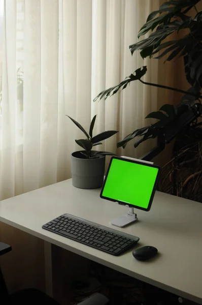 Lugar de trabajo en casa con el dispositivo de la tableta. Interior de estilo minimalista con plantas —  Fotos de Stock