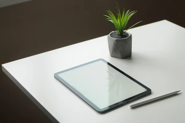 Εργασία freelance σε touch pad. Ψηφιακή μάθηση σχεδίου. Εσωτερικό με φυτά — Φωτογραφία Αρχείου
