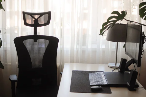 Bureau à domicile avec écran incurvé et chaise orthopédique.Intérieur avec plantes — Photo