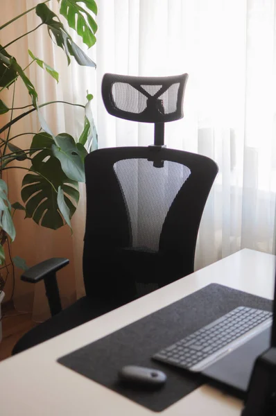 Krzesło ortopedyczne do pracy w domu. Minimalizm wnętrz biura domowego z roślinami — Zdjęcie stockowe