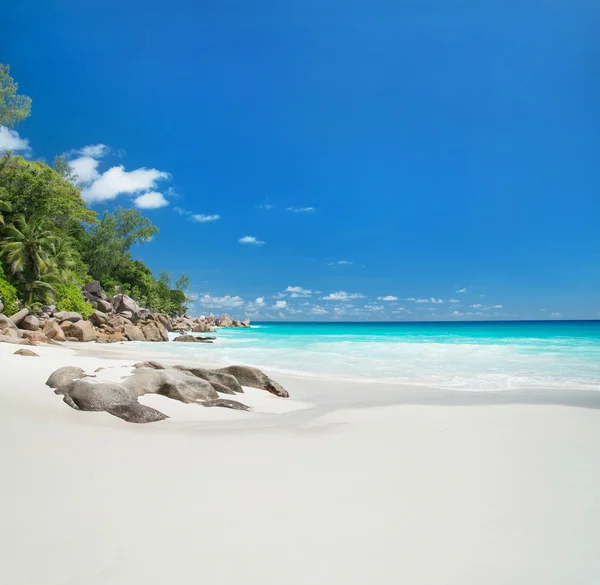 Tropikalnej plaży anse patates, Seszele — Zdjęcie stockowe