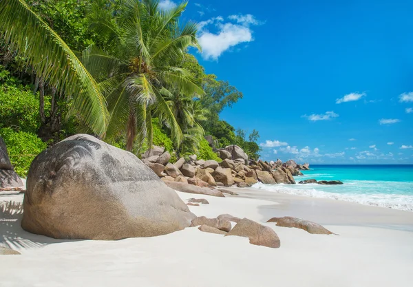 Spiaggia tropicale Anse Georgette sull'isola di Praslin, Seychelles — Foto Stock