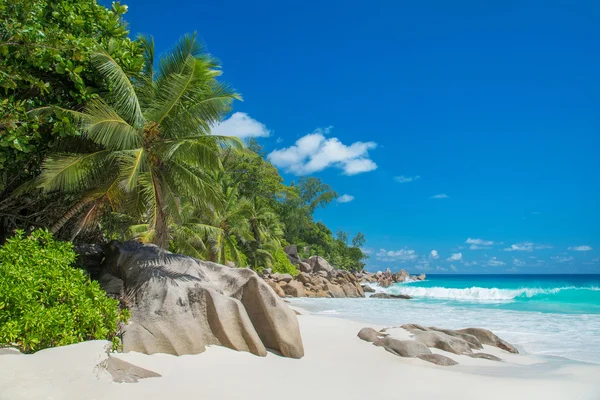 Ada praslin, Seyşel Adaları, tropik sahil anse georgette — Stok fotoğraf