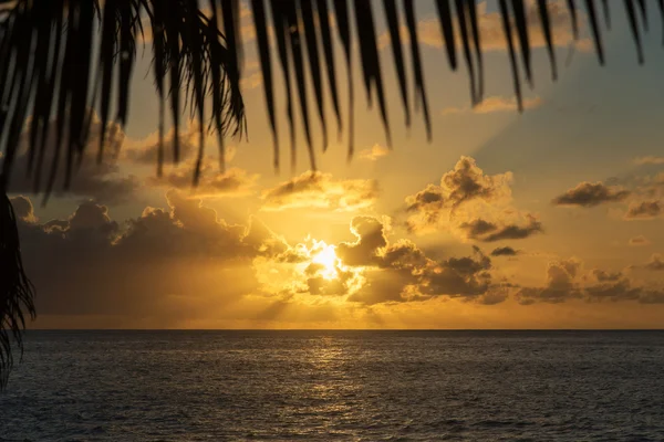 Solnedgång vid tropisk strand — Stockfoto