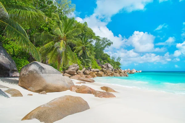 Tropikalnej plaży anse żorżeta na wyspie praslin, Seszele — Zdjęcie stockowe